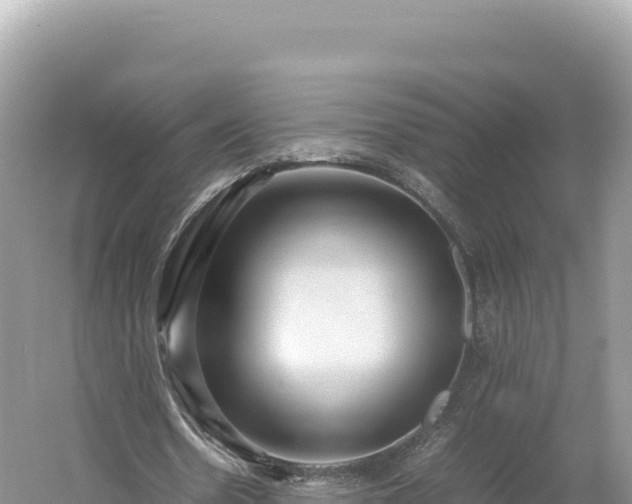 X0000054390530200508051650