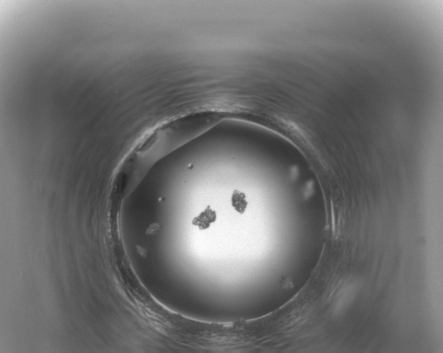 X0000054390531200508051650