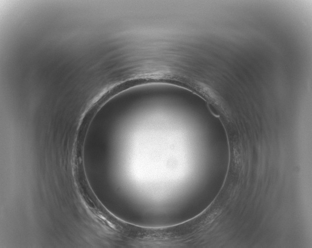 X0000054390532200508051650