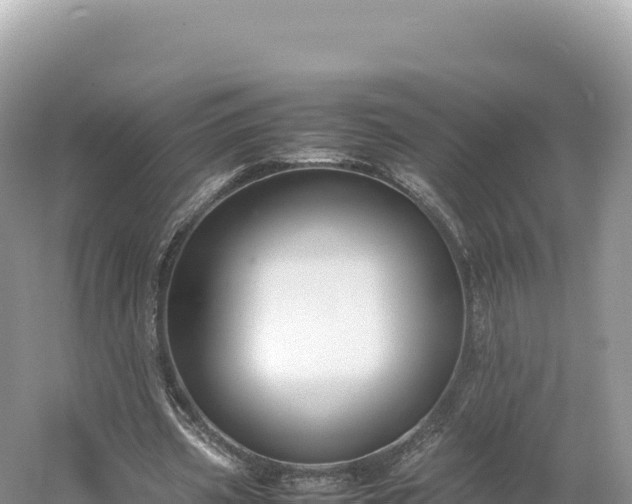 X0000054390533200508051650