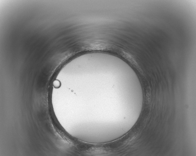 X0000054390534200508051650