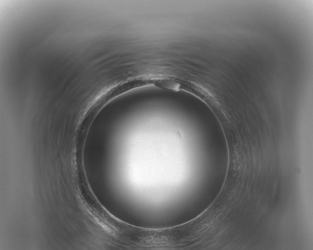 X0000054390535200508051650