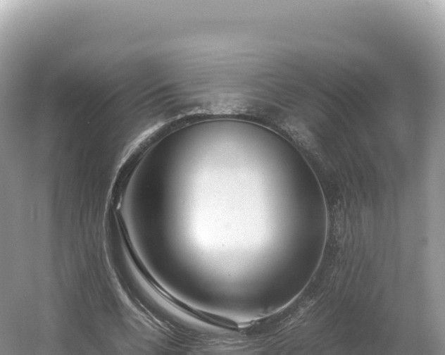 X0000054390536200508051650