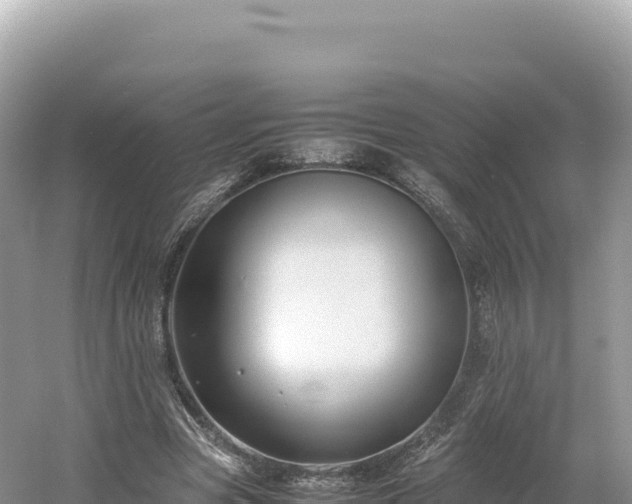 X0000054390537200508051650