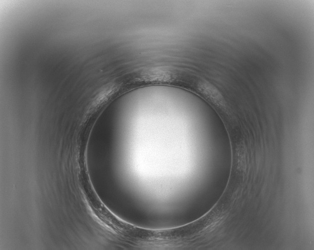 X0000054390538200508051650