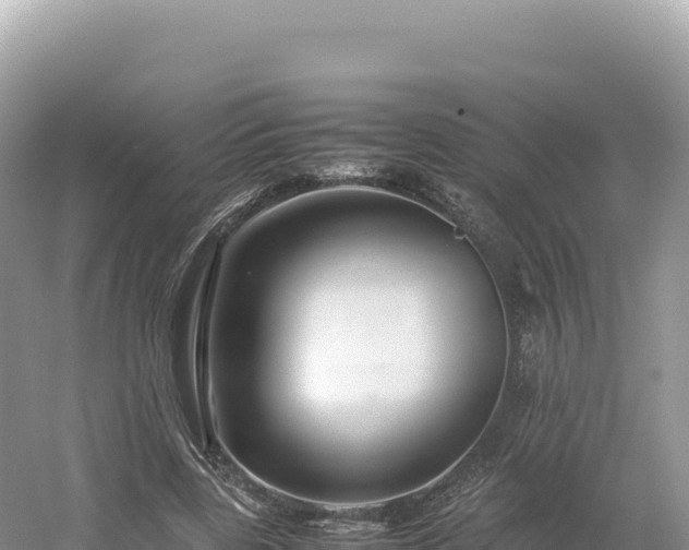 X0000054390539200508051650