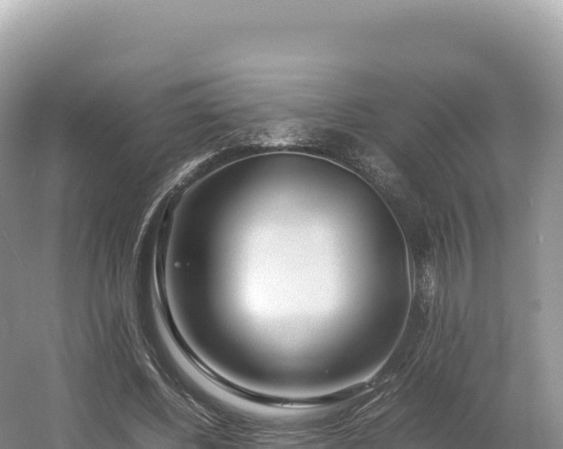 X0000054390540200508051650