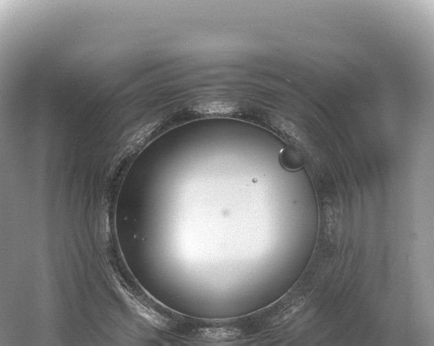 X0000054390541200508051650