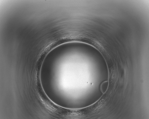 X0000054390542200508051650