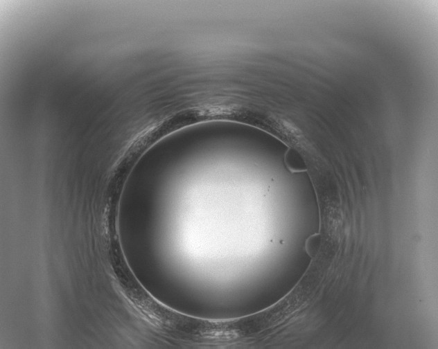 X0000054390543200508051650