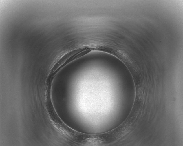 X0000054390544200508051650