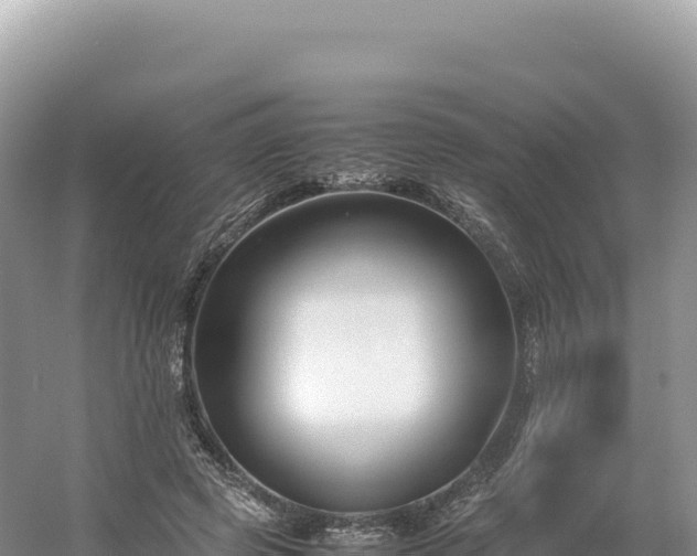 X0000054390545200508051650