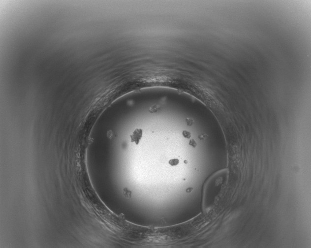 X0000054390547200508051650