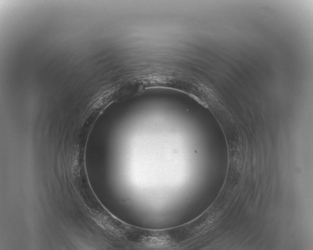 X0000054390548200508051650