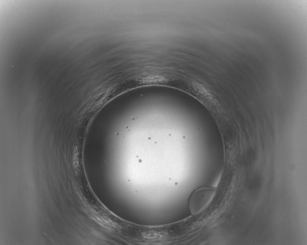 X0000054390549200508051650