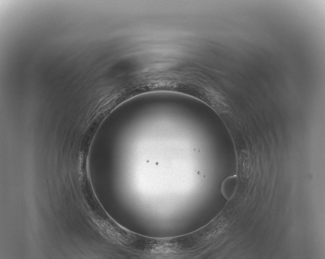 X0000054390550200508051650