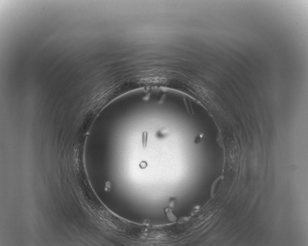 X0000054390551200508051650