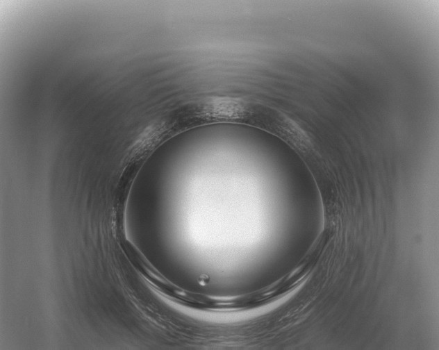 X0000054390552200508051650