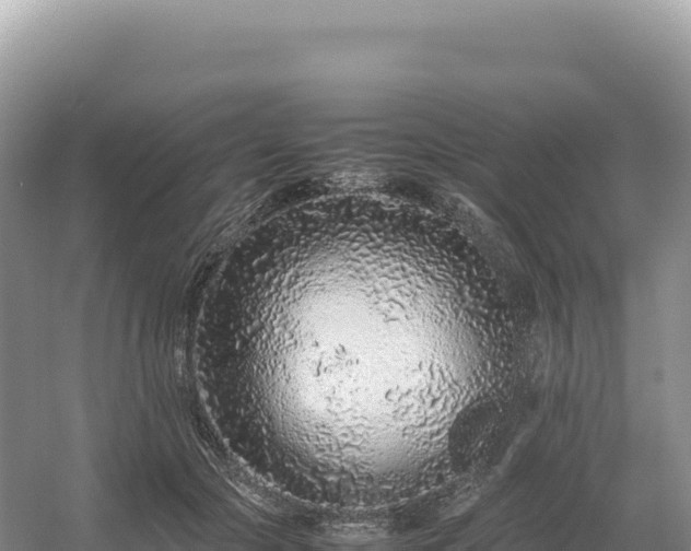 X0000054390553200508051650