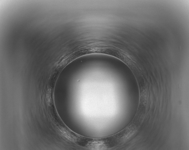 X0000054390554200508051650