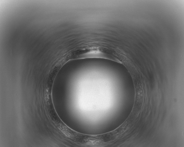 X0000054390555200508051650