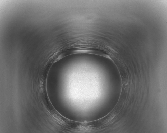 X0000054390556200508051650