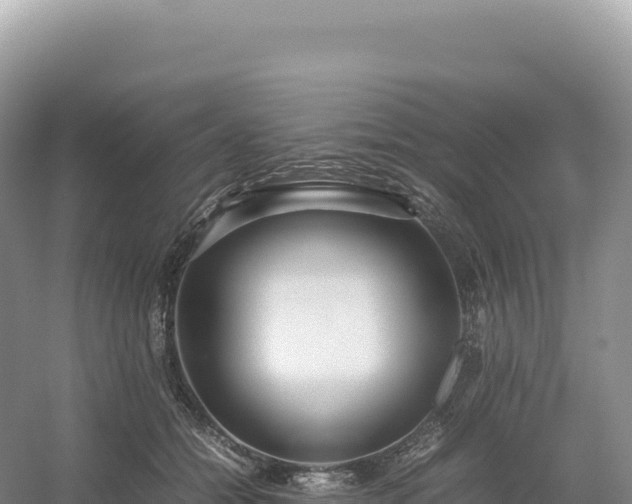 X0000054390558200508051650