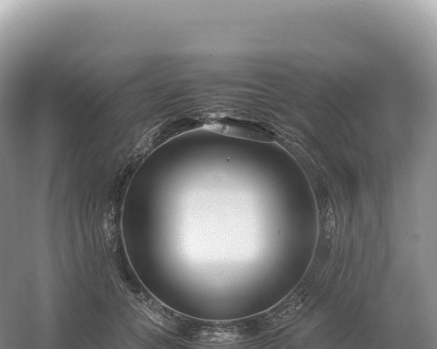 X0000054390559200508051650