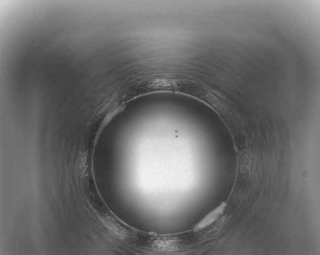 X0000054390560200508051650