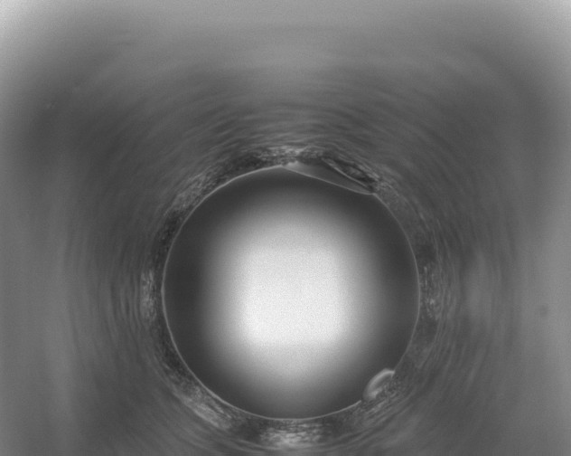 X0000054390563200508051650