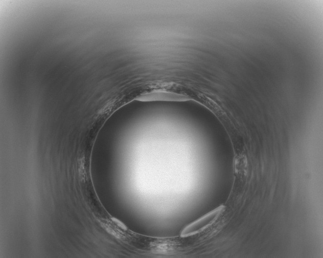 X0000054390564200508051650