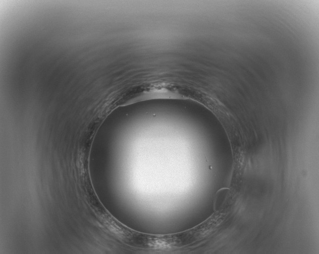 X0000054390565200508051650