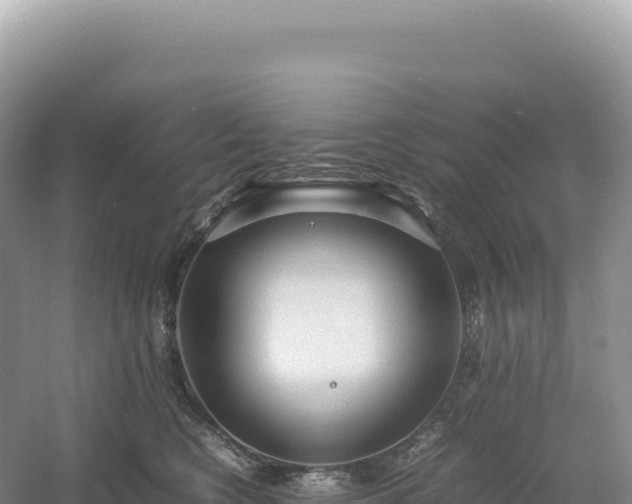 X0000054390566200508051650