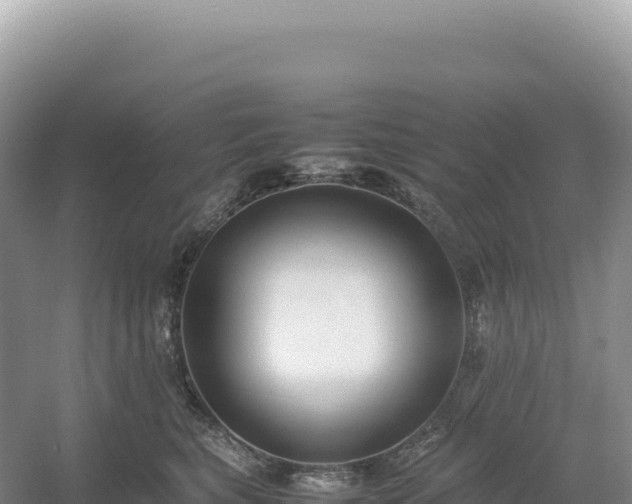 X0000054390567200508051650