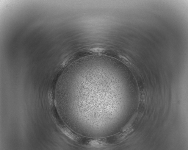 X0000054390568200508051650