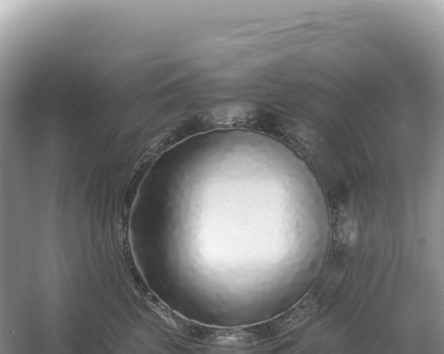 X0000054390569200508051650