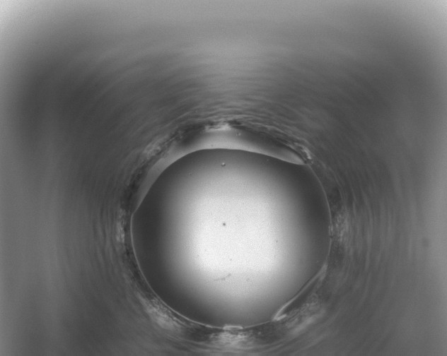 X0000054390570200508051650