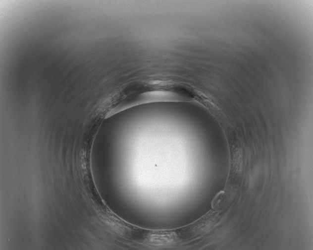 X0000054390571200508051650