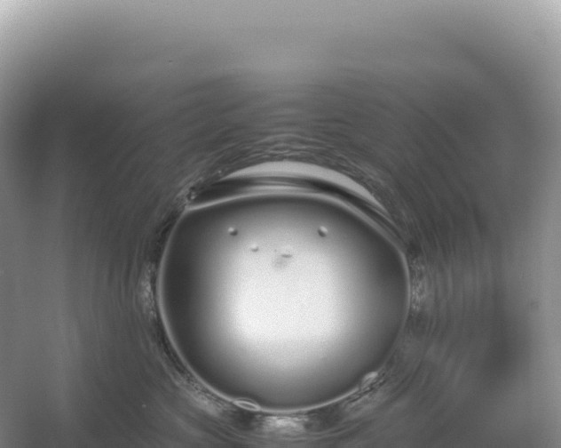 X0000054390573200508051650