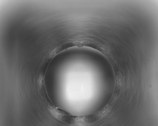 X0000054390574200508051650