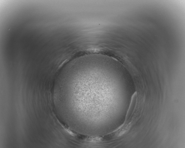 X0000054390576200508051650