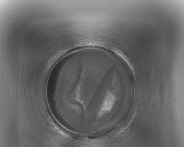 X0000054390577200508051650