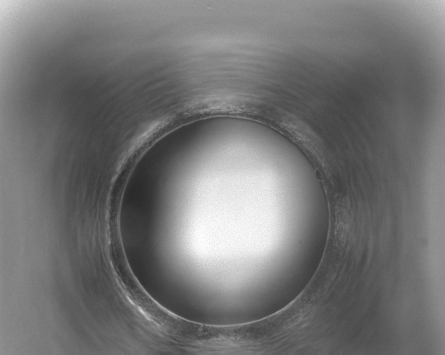 X0000054390578200508051650