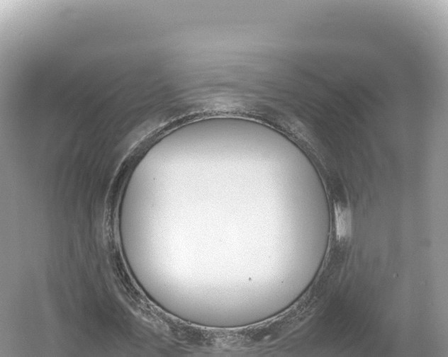 X0000054390579200508051650