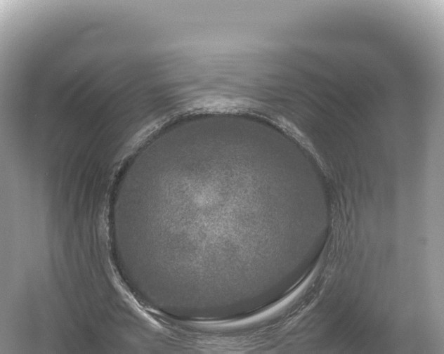 X0000054390581200508051650