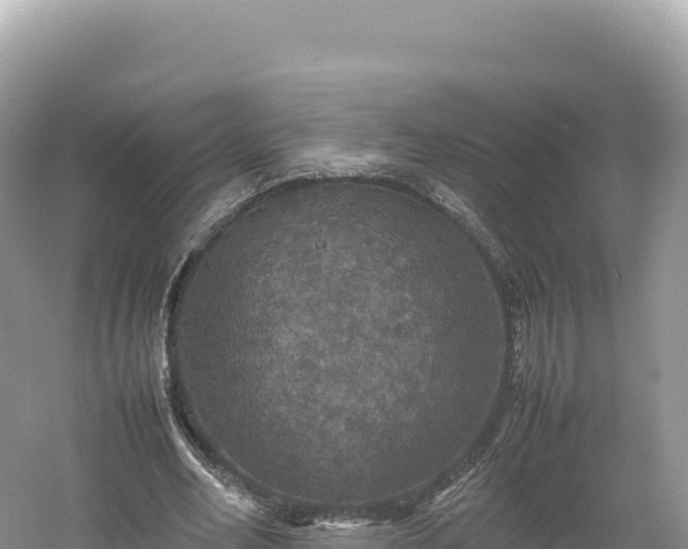 X0000054390582200508051650