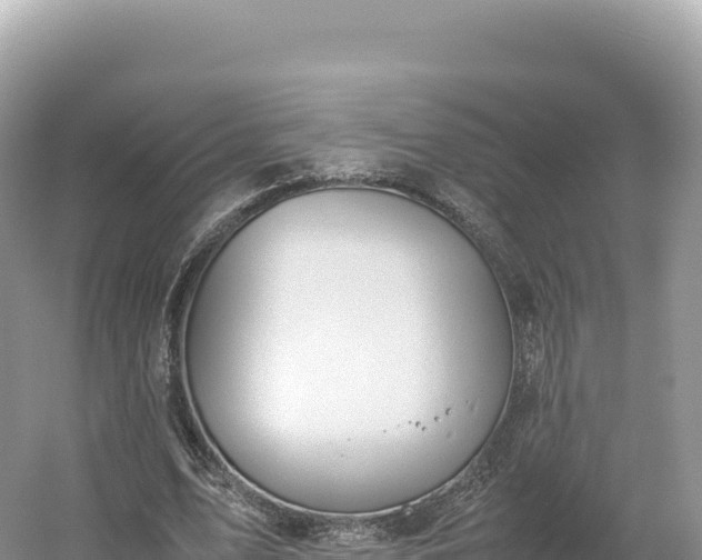 X0000054390583200508051650