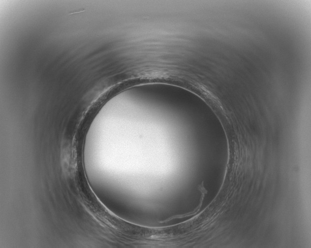 X0000054390584200508051650