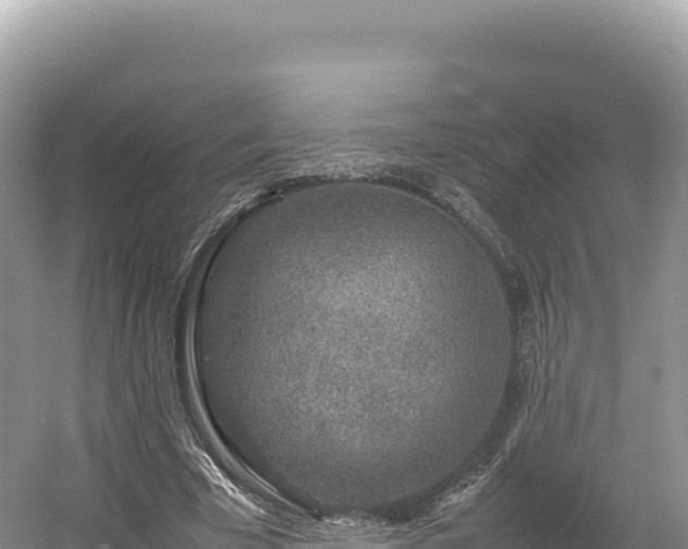 X0000054390585200508051650