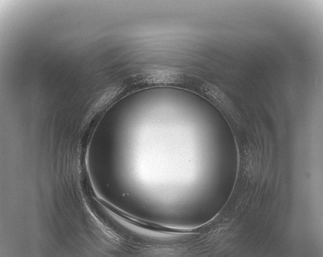 X0000054390586200508051649